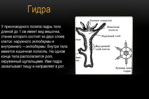 Настоящая ссылка на кракен