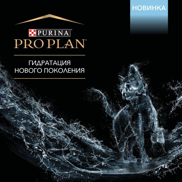 Кракен at сегодня работает ли